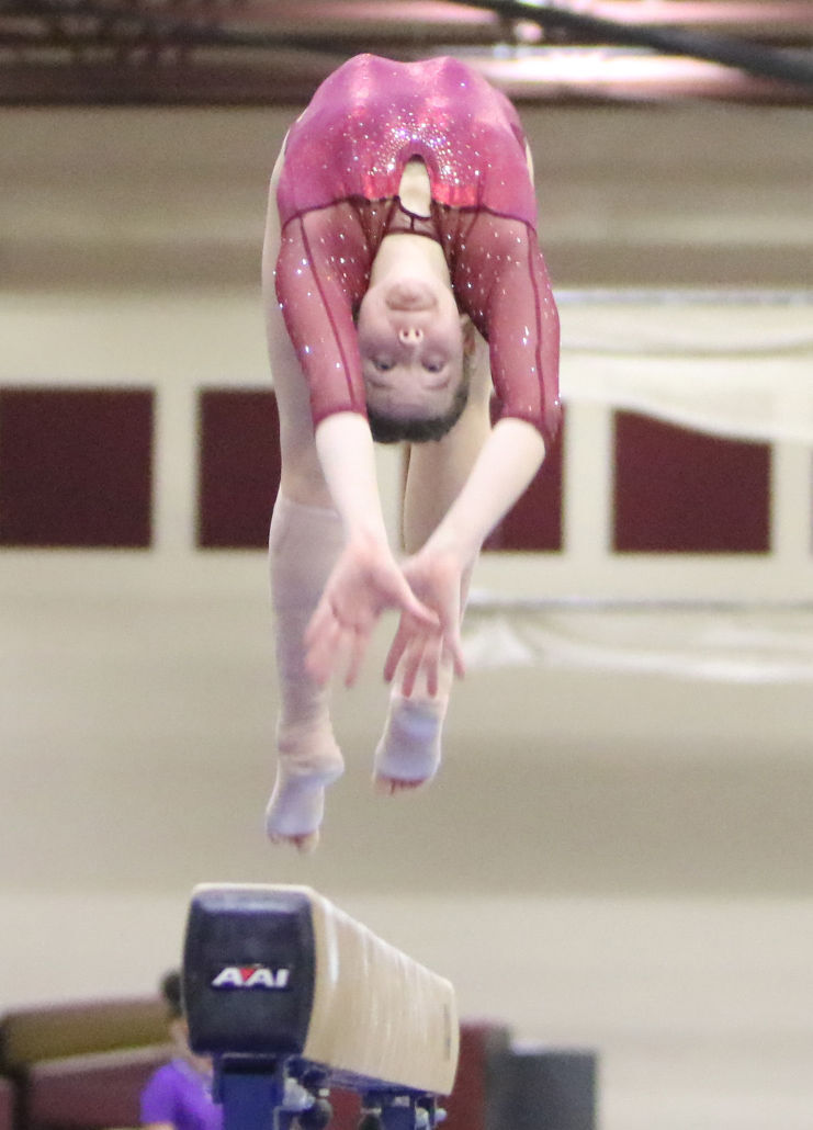 Chesterton Gymnastics Sectional